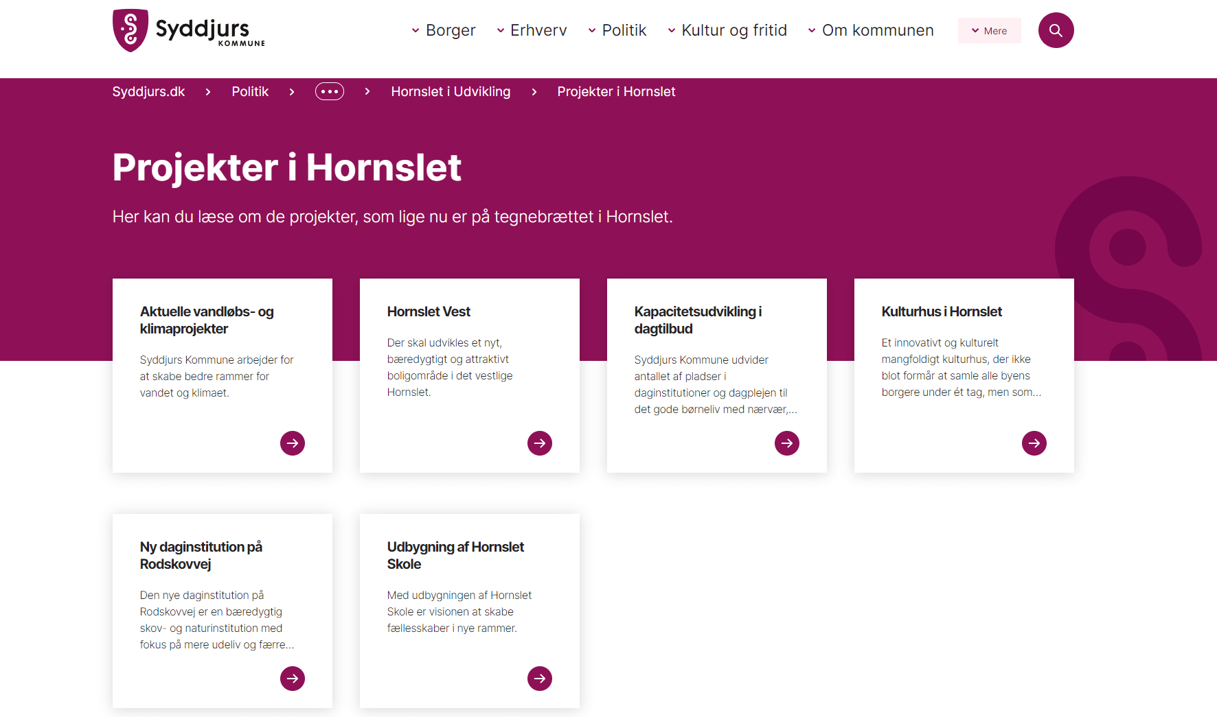 Skærmdump til artikel på 2lokal.dk om Hornslet i Udvikling